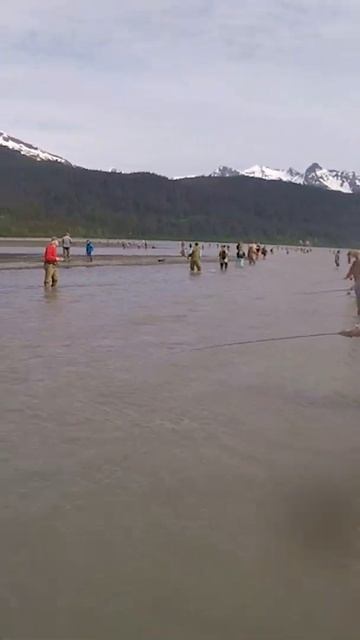 This Salmon Came Flyin' at Me! смотреть онлайн