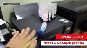 Принтер epson L8050 через 5 месяцев работы