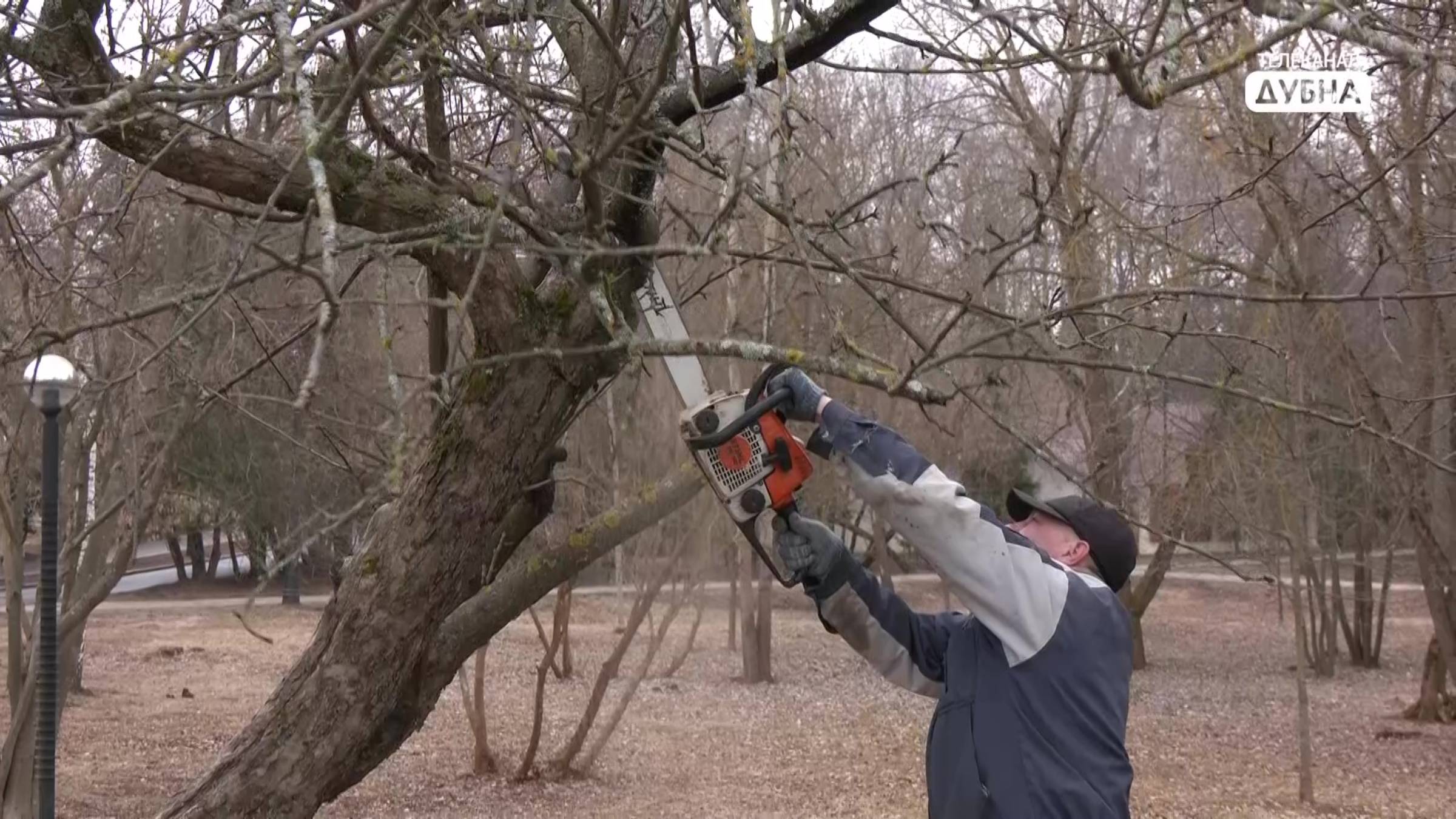 Чтобы продлить жизнь яблоням на набережной смотреть онлайн