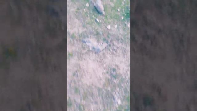 #какли тур билан ушлаш 2 чи ушлаш жела смотреть онлайн