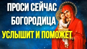 Проси сейчас Богородица услышит и поможет