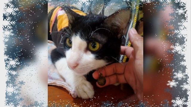 slamat pagi skrng tgl 31 juli 2022 sy Lin dirmh dadap VTB C12/4 sj lg mau santai santai sj смотреть онлайн