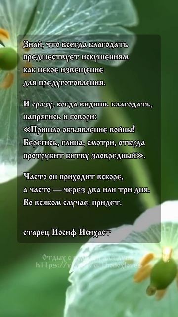 Доброе утро! 🤍 Старец Иосиф Исихаст смотреть онлайн