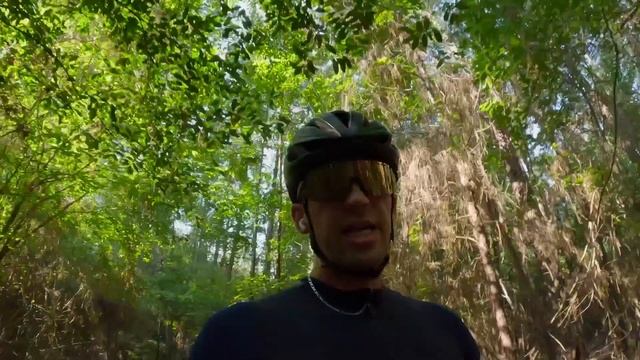 CHASED BY HORSEFLIES ON MY BICYCLE!
