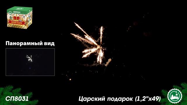 СП8031 смотреть онлайн