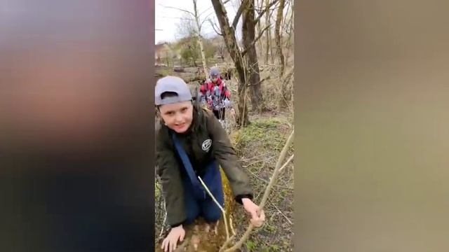 полный обзор на базу, лягушка и утки. муравьи смотреть онлайн