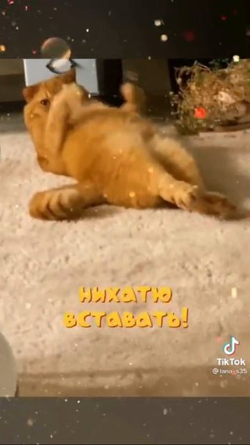 всех с добрым утром! смотреть онлайн