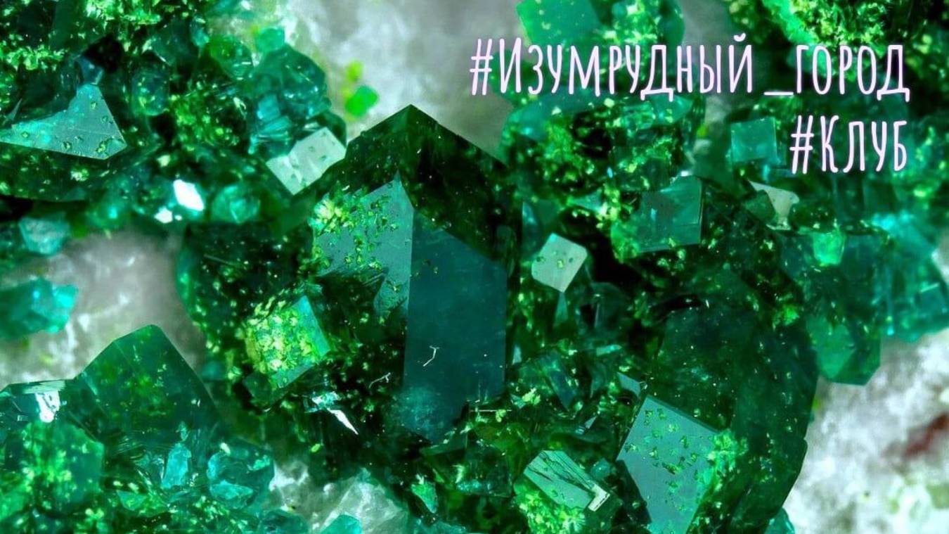 Изумрудный город - Подробности участия смотреть онлайн