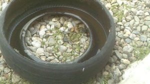 Разрезать покрышку / Cut the tire