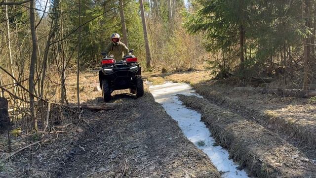 Весенний лес на Cf Moto Cforce 500 Eps