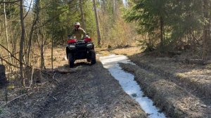 Весенний лес на cf moto Cforce 500 eps