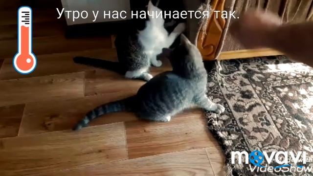 Видели видео? смотреть онлайн