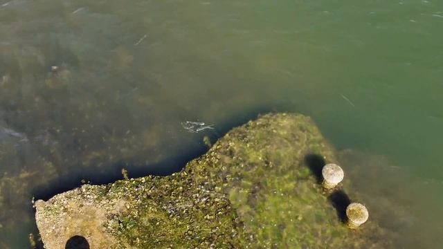 Galveston's North Jetty - Drone 4k Footage - Cement Ship - August 2021 смотреть онлайн