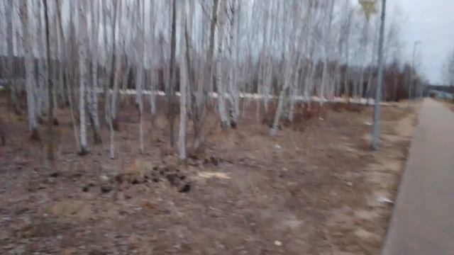 Прогулка с собакой 🐶 смотреть онлайн