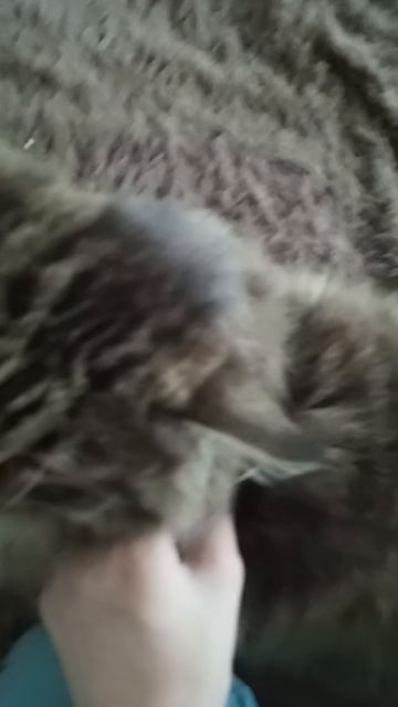 Алиса не хочет сниматься смотреть онлайн