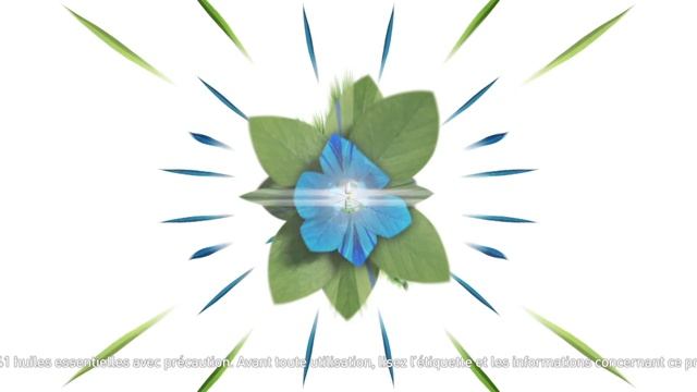 Puressentiel : Spray Assainissant De L'air Au 41 Huiles Essentielles