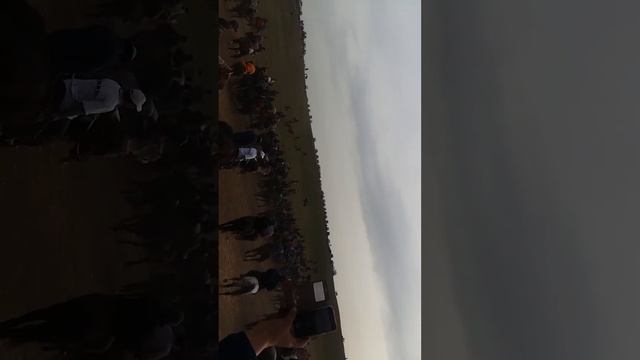 Көкпар қызылтаң смотреть онлайн