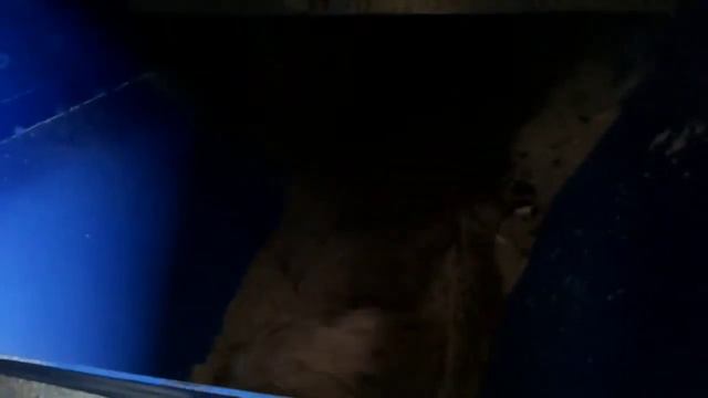 Питатель шнековый (винтовой) для опилок смотреть онлайн