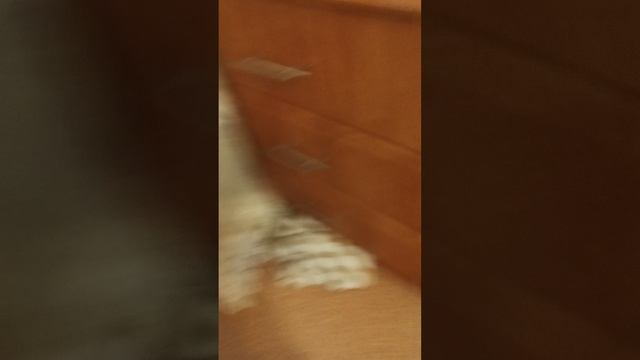 1000009825.mp4 смотреть онлайн