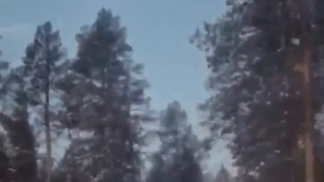 С Новым 2016 Годом! Feliz 2016 Año Nuevo! смотреть онлайн