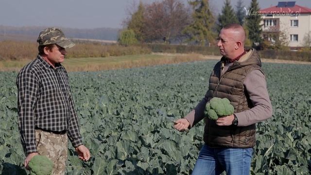 Monrello niezawodny w kazdych warunkach WP смотреть онлайн