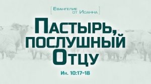 Проповедь: «Ев. от Иоанна: 59. Пастырь, послушный Отцу» (Алексей Коломийцев)