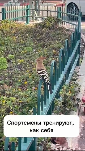 Правильная философия жизни