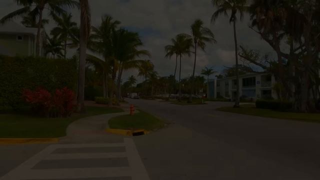 Vintage Vibes The Ultimate 50s & 60s Rock Collection 🎷🕺 смотреть онлайн