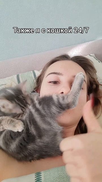 Вы не понимаете, это другое😹 #кот #питомец #животные #личныеграницы #alyavaish #алявайш #рек #юмор смотреть онлайн