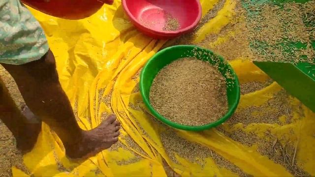 Surjeet Thresher 7 fen on John Deere tractor смотреть онлайн