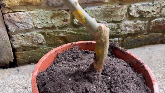 Eureka Lemon смотреть онлайн