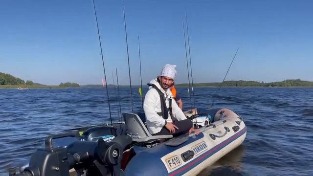 VYBORG NE PAL 2022 смотреть онлайн