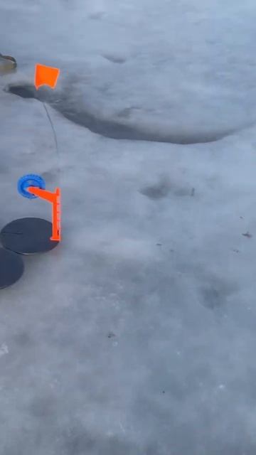 Мечта рыбака😀#shorts #рекомендации смотреть онлайн