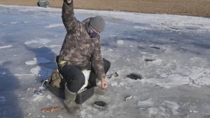 НАРОДНЫЙ ПРОЕКТ АСТРАХАНЬ" Аутентичная рыбалка ч 1