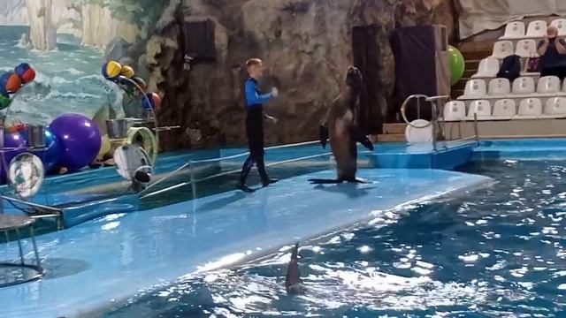 26 октября 2022 г. смотреть онлайн