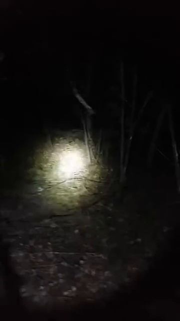 Охота на борсука 2019 з ЗСЛ лайками смотреть онлайн