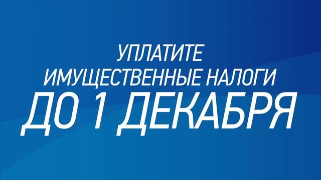 Оплатить имущественные налоги необходимо до 1 декабря смотреть онлайн