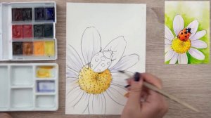 Уроки рисования акварельными красками. Как нарисовать божью коровку на ромашке