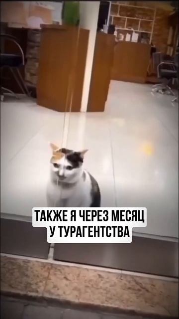 #мечта #путешествия #travel