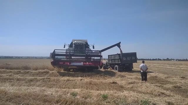 17 июня 2022 г. смотреть онлайн