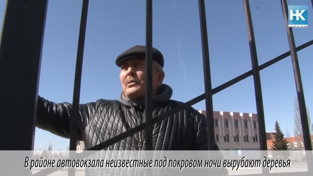 НАШ КОСТАНАЙ В районе автовокзала неизвестные под покровом ночи вырубают деревья смотреть онлайн