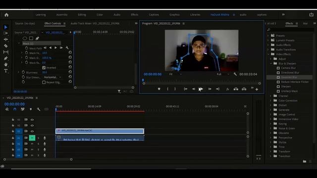 how to blur your background using premiere pro|tracking mask|Didula geesara| смотреть онлайн