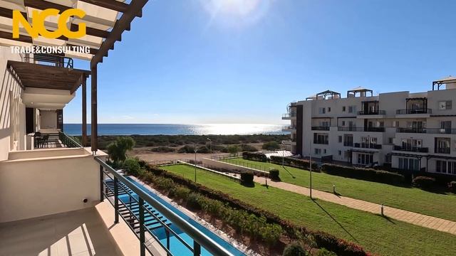 NCG Trade & Consulting | Northern Cyprus | Северный Кипр