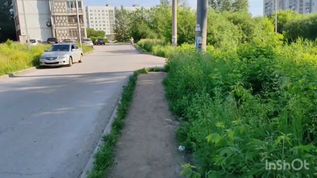 Продолжаем подрезать ветки смотреть онлайн