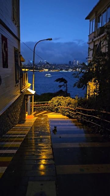 Kaftan sk üsküdar İstanbul смотреть онлайн