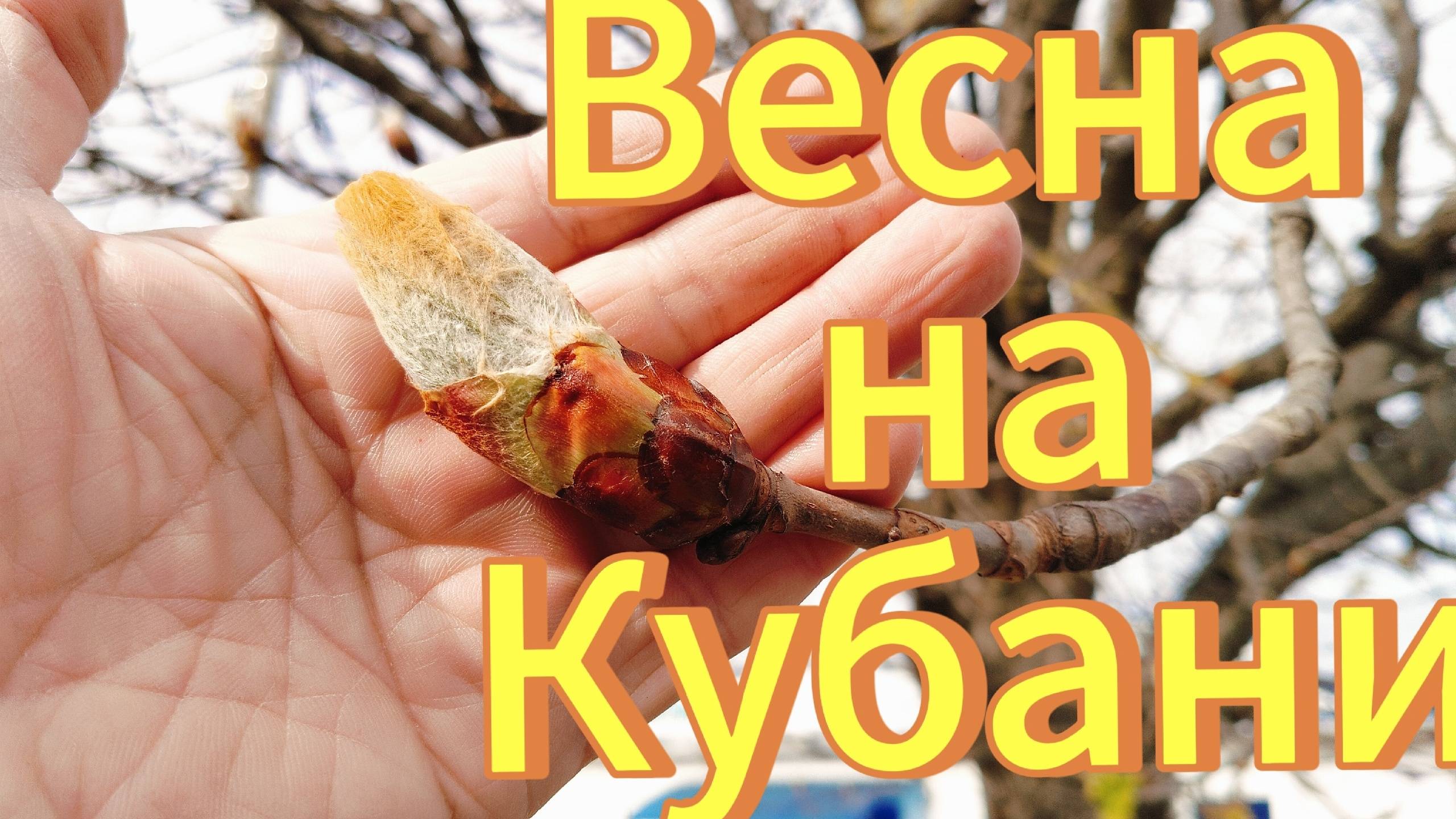 Сокровища Тамерлана.Хоть разорвись.Наращиваем темп, увеличиваем амплитуду. смотреть онлайн