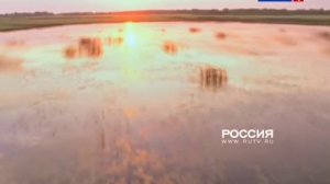 Технические неполадки (Россия-1, 30.08.2015)