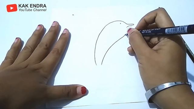 CARA MENGGAMBAR LUMBA-LUMBA UNTUK PEMULA - HOW TO DRAW ANIME DOLPHIN FOR BEGINNERS смотреть онлайн