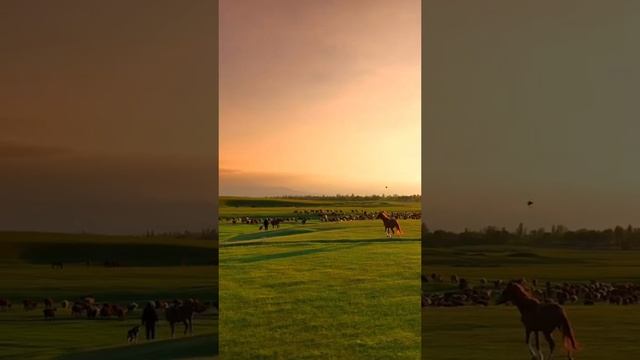 песня про коня. смотреть онлайн