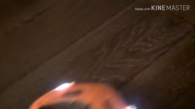 Хомяк катается на машине из фикс прайса смотреть онлайн